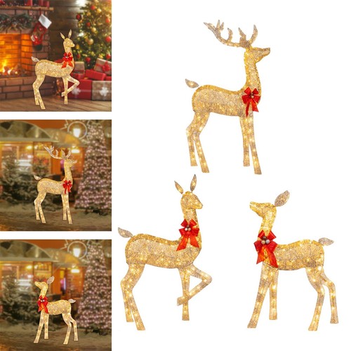 Outdoor lighted christmas - outdoor,