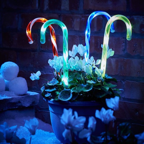 Outdoor garden xmas - 4,