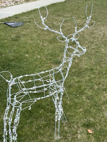 Led lighted reindeer - ft,