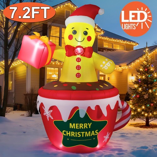 Christmas inflatable - christmas,