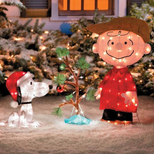 Charlie brown snoopy - charlie, &
